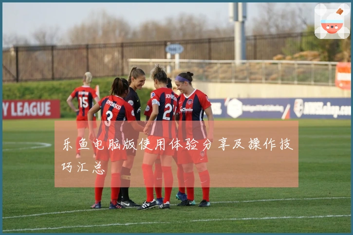 乐鱼电脑版使用体验分享及操作技巧汇总