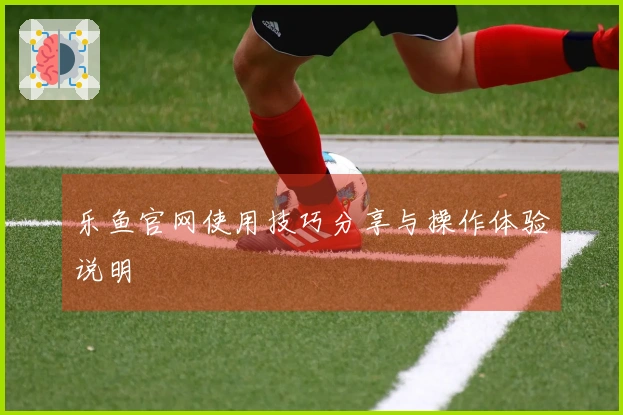 乐鱼官网使用技巧分享与操作体验说明