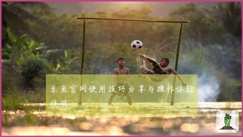 乐鱼官网使用技巧分享与操作体验说明