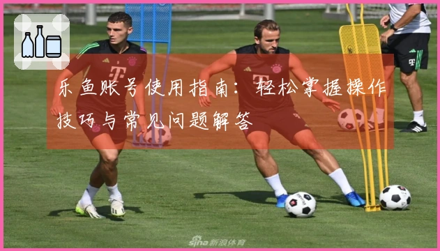 乐鱼账号使用指南:轻松掌握操作技巧与常见问题解答